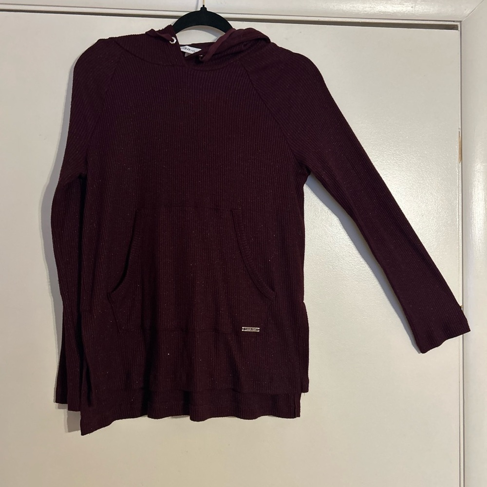 Calvin Klein Burgundy Hooded Sweater